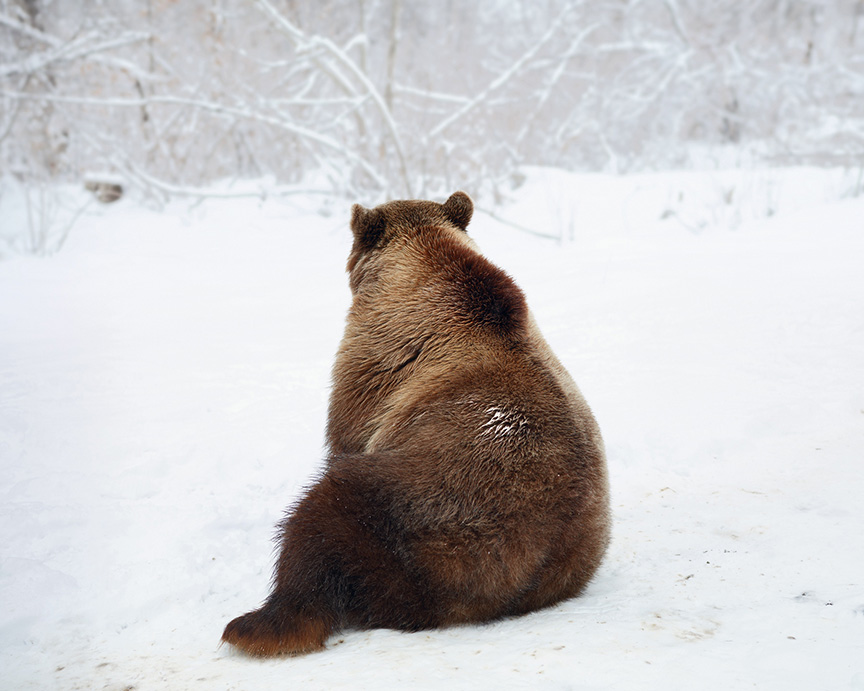 Tamas Dezso: Notes for an Epilogue