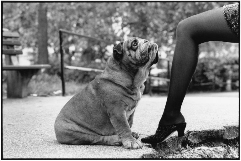 Elliott Erwitt, New York City, 1989