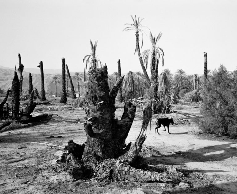 Mimi Plumb, palm Desert, 1987, archival pigment print, 15 x 18 inches, edition of 8