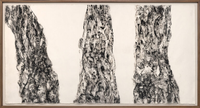 "Pinus Canariensis 34N 118.5W," 2020, charred wood on canvas, 65.25 x 121 inches