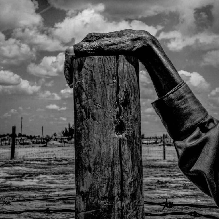 Allensworth, California. 2014. Fence post.