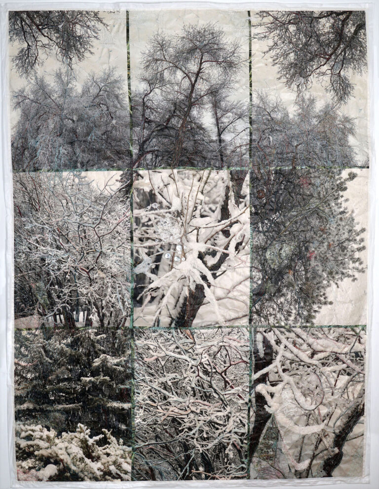 "Stories in the Winter Woods," 2022, sewn archival pigment prints on Kozo paper,  thread, lace, iridescent paint, buttons, 70.5” x 55.5” framed.