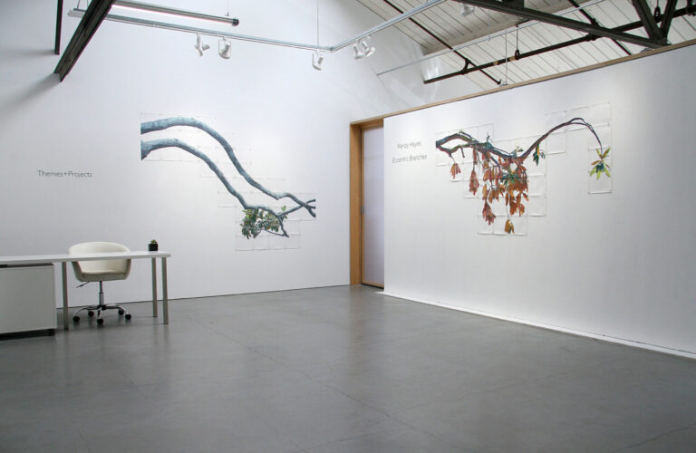 Installation view.