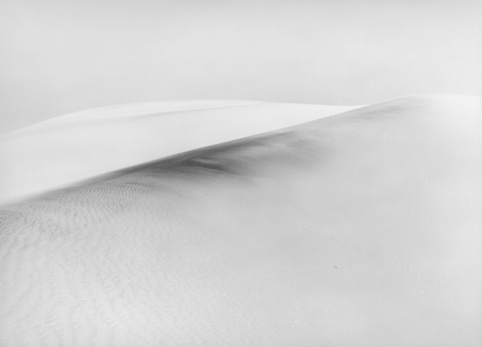 Steve Molnar, "Mojave" Photography