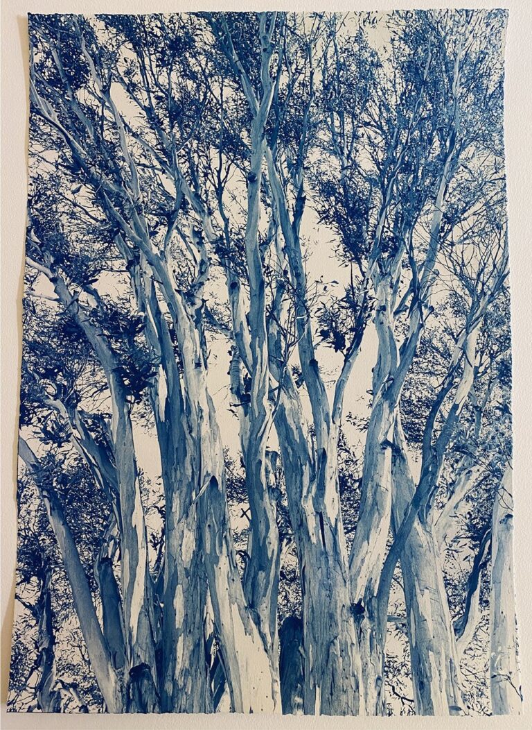 Dora Somosi, Edith Heath, from the series By Her Side, arches watercolor paper, cyanotype, 26 x 18 1/2 in.