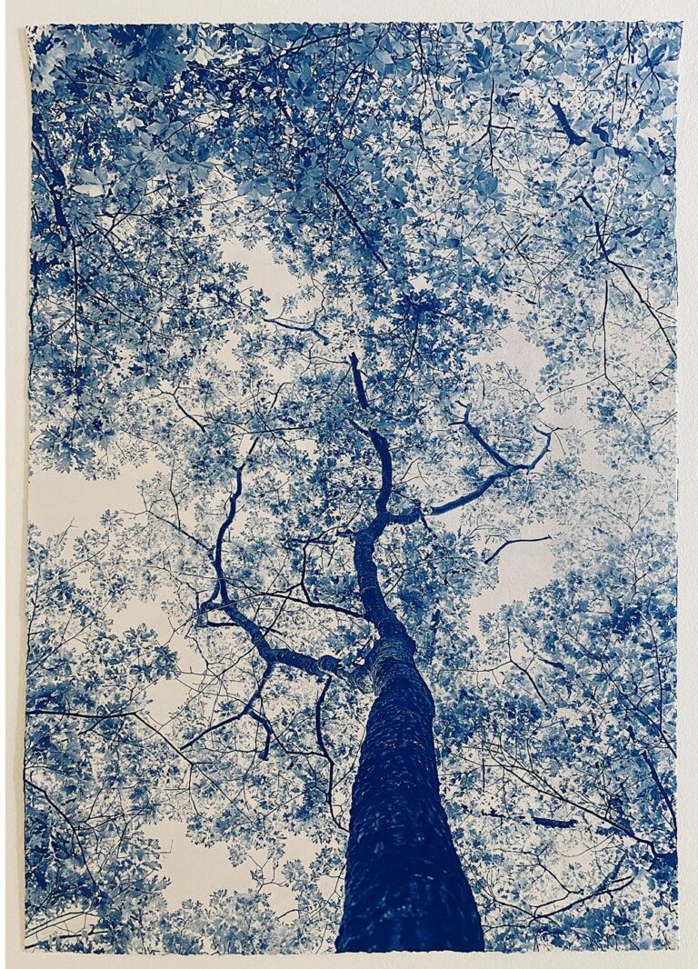 Dora Somosi, Edna St. Vincent Millay, from the series By Her Side, arches watercolor paper, cyanotype, 26 x 18 1/2 in.