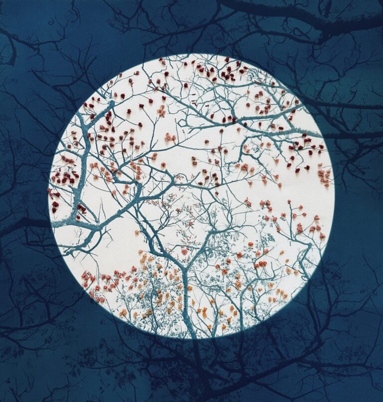 Dora Somosi, Mending Spring, double coated cyanotype and natural dyed embroidery using walnut, cochineal and birch, 17 1/2 x 18 in.