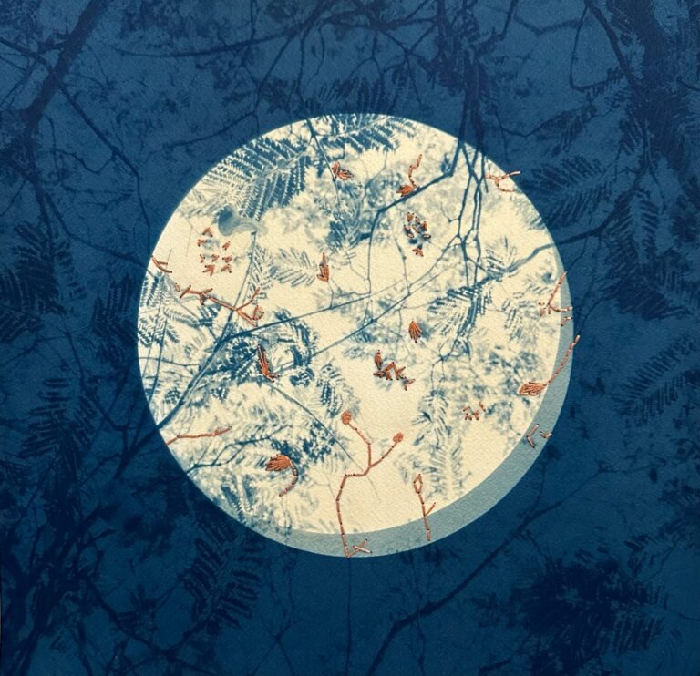 Dora Somosi, Mending Silk, cyanotype on Arches Watercolor Paper with hand embroidery, 12.75 x 12.75 in.