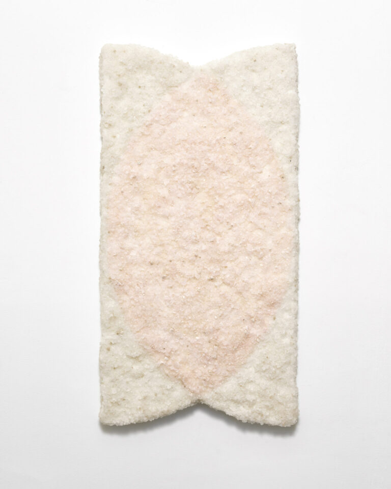 Rachelle Reichert, Salt Cure, 2023, Anguillan salt, mixed media on panel, 36 x 19 x 2 in.